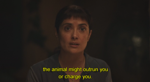 heartshrines:Beatriz at Dinner (2017), dir. Miguel Arteta