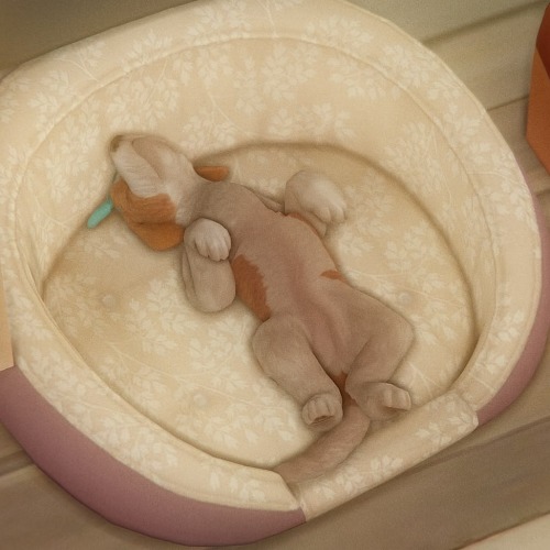 Some Peaceful (mostly Uneventful) Days + Clearly Im Incapable Of Playing With A No-pet-household, So