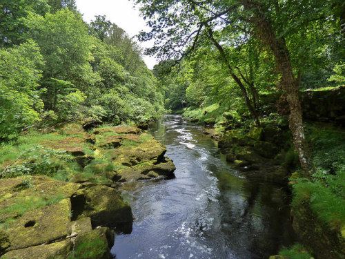 The Strid at Bolton Abbey near Skipton, North Yorkshire, England - June 2014 by SaffyH - BETA IS NOT