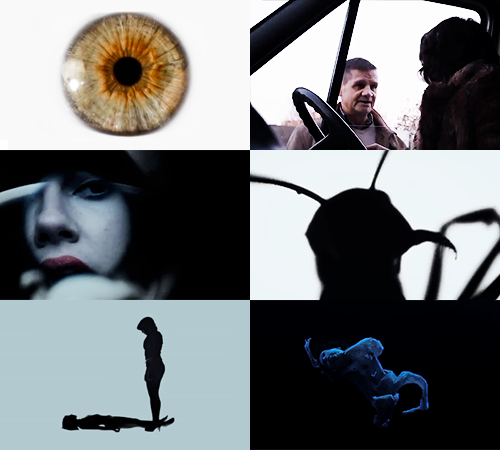 peterquill:  Under the Skin (2014)  I&rsquo;ve been saving my AMC theatres gift