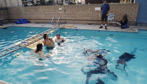 music-is-my-life-man:Photos From Nirvana’s Underwater “Nevermind” Shoot