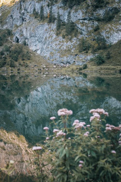 expressions-of-nature:Glarus & Talalpsee, Switzerland by Corina Rainer
