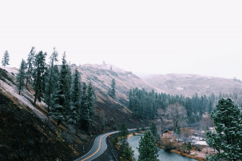 deletingmyself: (by Griffin Lamb) Website | Society6 (Prints) | Tumblr | Instagram