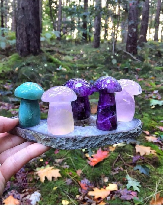 artisticlog: Crystal mushrooms 🍄✨🔮🍁🍁 adult photos