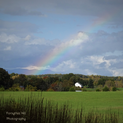 Just a short walk down the street to see vast farmland and with the Blue Ridge Mountains in the back