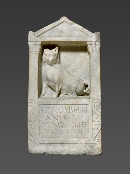 tristaniseult:LOVE OUTLIVES BOTH THE LOVED AND THE LOVER(i) JMC toynbee, beasts and their names in the roman empire / (ii) dog sleeping on dog mosaic in pompeii / (iii) george a. reisner, the dog which was honored by the king of upper and lower egypt