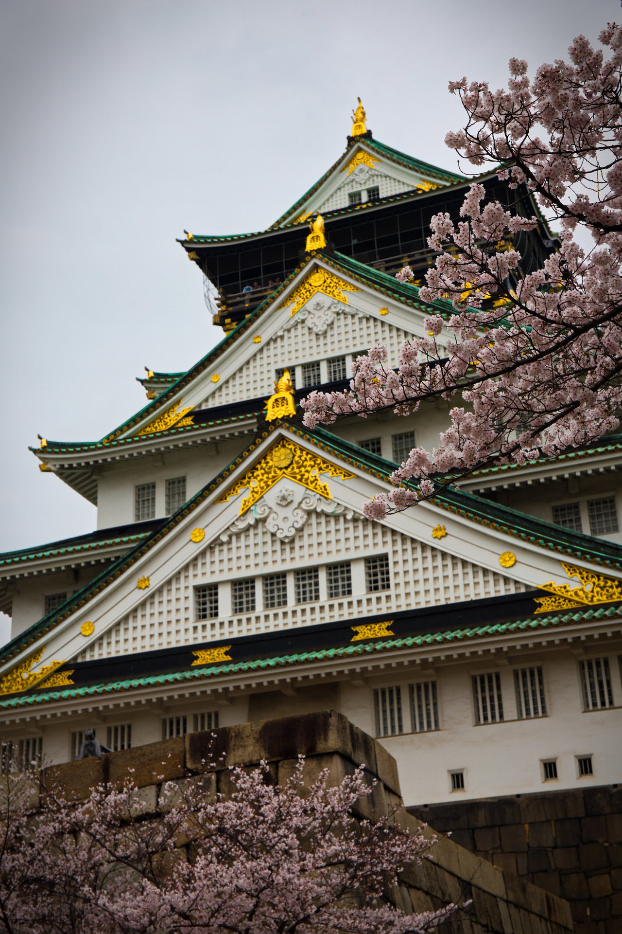 japan-overload:by   James O'Donnell
