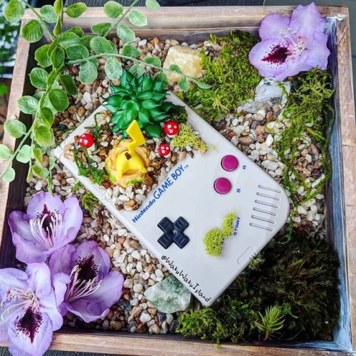 retrogamingblog:Gameboy Pokemon Terrariums made by WakuWakuIsland