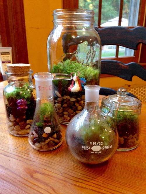 As promised - terrariums!! My personal favorite is the one inside the double-necked round bottom fla