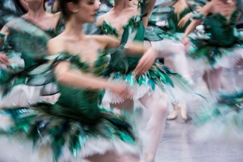 dancingwithbelugawhales:Members of the Australian Ballet in (beautifully) costumed rehearsals for Da
