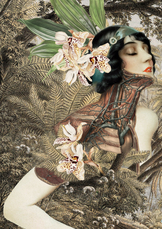 kirgiakos:  Collages by FFO (Moscow)   justenoughisplenty