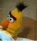 18thcentury-turnt:  morelikecreamhuff:  nethilia:  nopeabsolutelynot:  fangirlingoverdemigods: