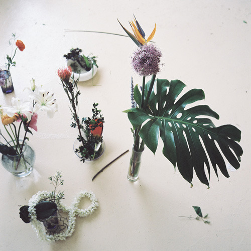 crematorie:  Camille Henrot  - Est-il possible d’être révolutionnaire et d’aimer les fleurs, 2012.