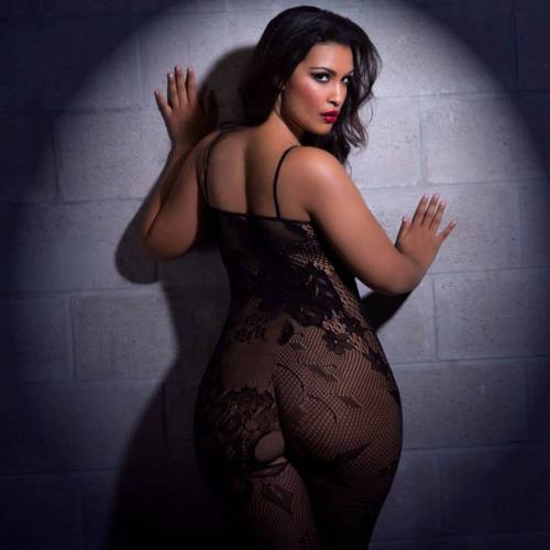 curvynbeautiful-pluslingerie:  Essential for a Saturday night…shop our sexy Seamless Lace Body StockingEssentiel pour un Samedi soir…magasinez notre bodystocking sexy sans manchehttp://curvynbeautiful.com/…/plus-size-seamless-lace-body-s…