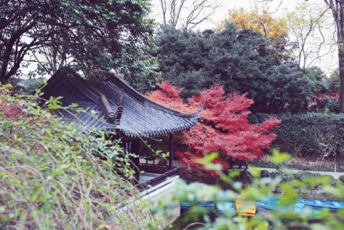 darkcloudsbrightskies:fuckyeahchinesegarden: Location: 常熟虞山 Chángshú Yúshān, co