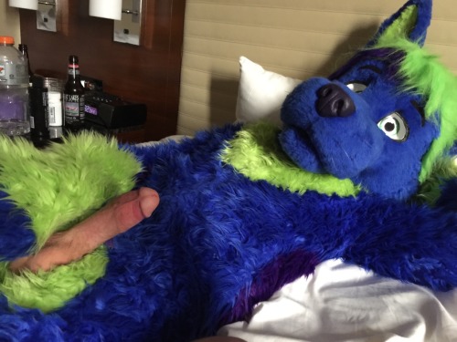 odinnsfw: Some pics from Sunday morning at MFF ;3