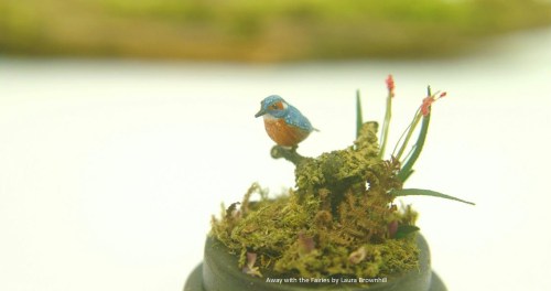 Kingfisher Under DomeAway with the Fairies by Laura Brownhillwww.etsy.com/uk/listing/2474572