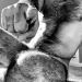 sexplore-amsterdam:poilupeludo:IT’S YOUR LUCKY DAYsexplore my hands POILU EN NOIR