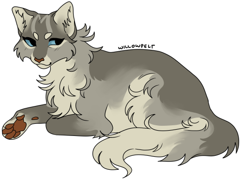 berrym00n: willowpelt redesign +bonus thumbnail underneath the cut bc i liked it Keep reading