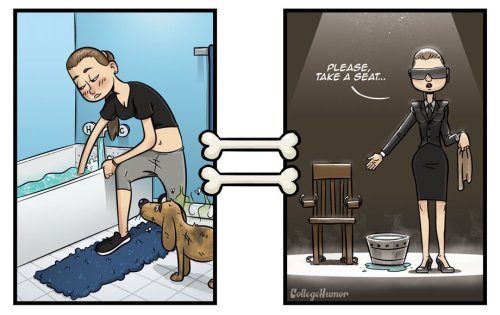 collegehumor:Happy National Dog Day! Things look a little different through a dog’s eyes…What Everyt