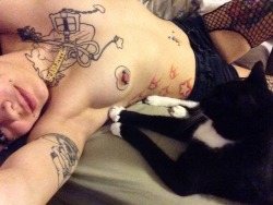 fuckmestupid:  Kitties and boops 