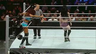 shardwick:  Let’s get violent.  THIS is what we want to see from the divas! I loved this match, Paige and Alicia work so well together! Also I’m so happy that Paige was able to bring back that sick Cradle DDT. In love with her moveset