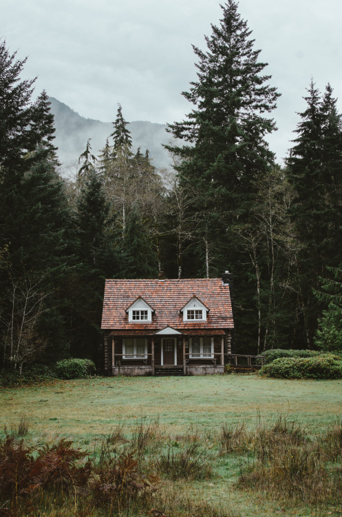 millivedder:Olympic National Park