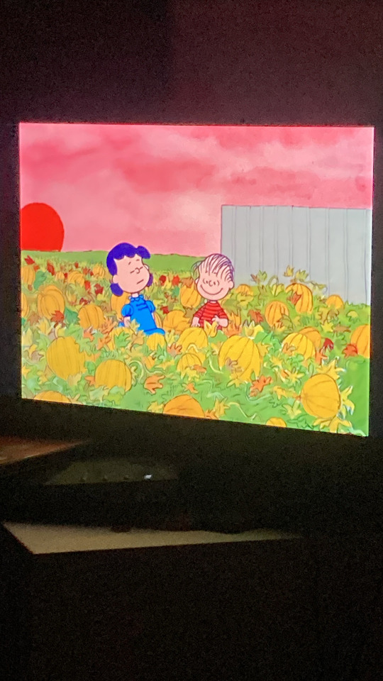 It’s Not Halloween Without This Movie