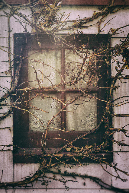 woorc:  untitled by Colin Gallagher on Flickr.