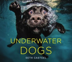  Underwater Dogs by Seth Casteel 