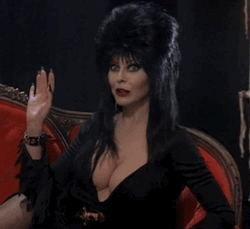 gameraboy:  Elvira: Mistress of the Dark