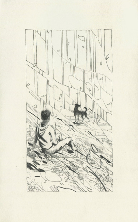 jameschleeart: 06.45 sleep in dog 70 CAD + shipping (sold)Pencil on paper, 5&quot; x 8.25&qu