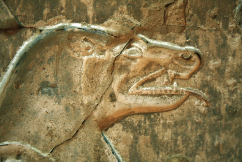dwellerinthelibrary: Templo de Hathor en Deir el Medina , Luxor : Sala izquierda dedicada a Amon Sok