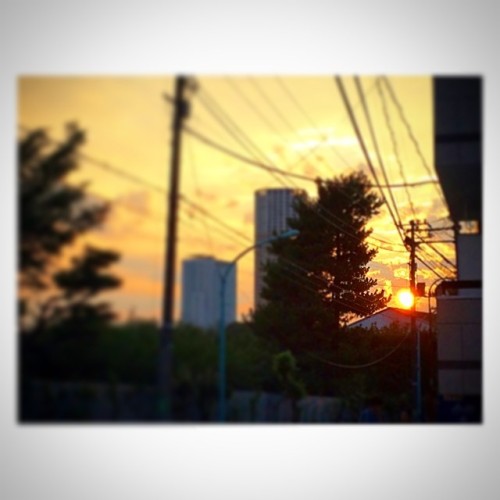 Beautiful Sunstet.  from Legs with love. #kapital #kapitallegs #sunset (KAPITAL Legs Craftman Store)