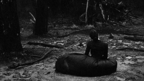 cersielannisters: The Piano (1993) dir. Jane Campion