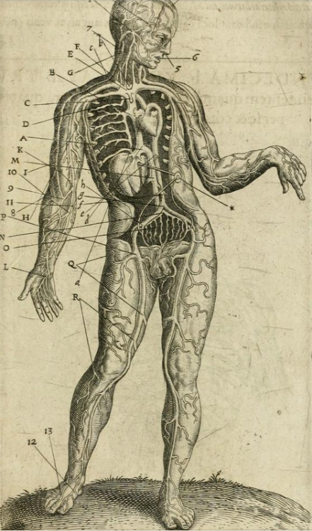 magictransistor:  Robert Fludd. Anatomiae Amphitheatrum Effigie Triplici. 1623.