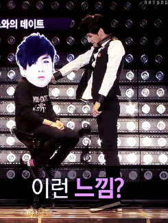 yodeleo:  damnnit maknae  (‡▼益▼) 