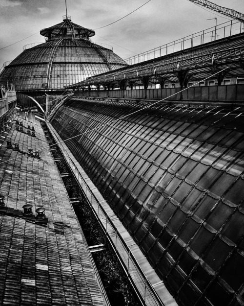 fabforgottennobility:GALLERIA VITTORIO EMANUELE II #milano #milan #ig_milan #ig_milano #galleriavitt