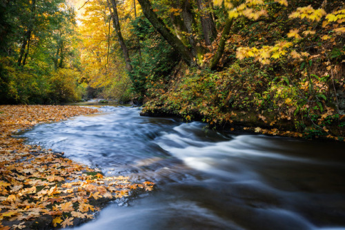 Millstone River by Bryn Tassell Website | Facebook | Twitter