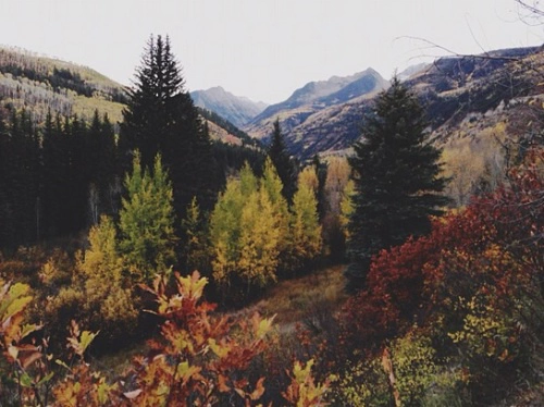 xxcats-eyesxx:  Boho / indie / nature blog 