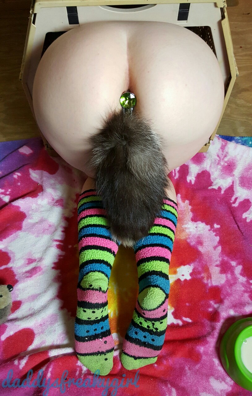 daddysfreakygirl:  I was too big for my little kitten crate but daddy loved it &lt;3