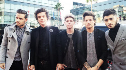 zarrystalik:  @TheAMAs: WARNING: This picture of @OneDirection on the #AMAs red carpet might be too much for 