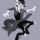 shuyomondai:  I FOUND THE REALLY GAY KEMONO THING 