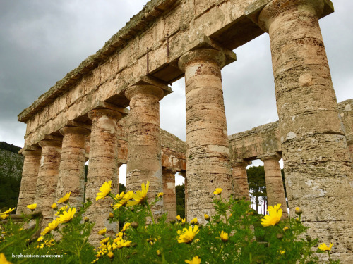 hephaistionisawesome: Sicily, March 2016. Visiting the site of Segesta on a Harvard Classics Dept. f