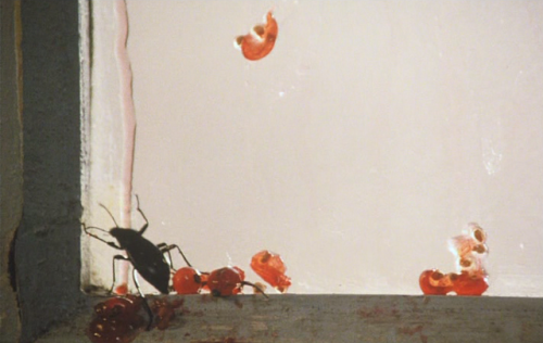 De wisselwachter (The Pointsman), 1986