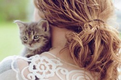 fotosfornovelas:  -Chicas con Gatos-Gatos