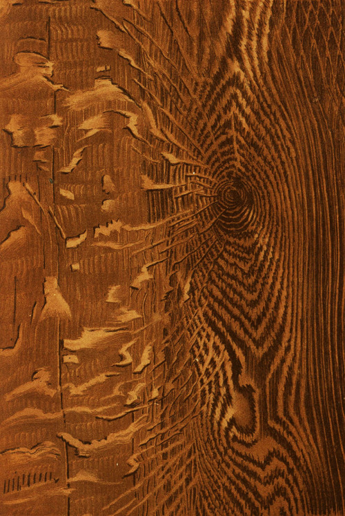 widenerlibrary: Gorgeous examples of painted wood grain from American Grainers Hand-book: A Popular 