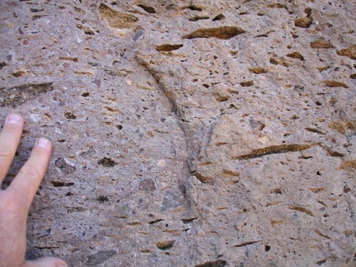 Fiamme!This rock is a “welded tuff”. Volcanoes explode when gases trapped in bubbles inside of molte