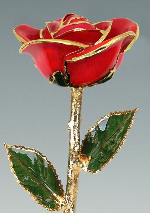 sosuperawesome: Real Preserved Roses Trimmed with Gold / Dipped in GoldLiving Gold Co on EtsySee our