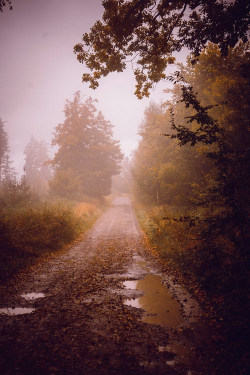 virtuallyinsane-autumn:Petra Kopásková